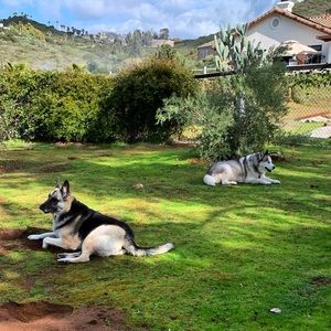 Meet your Posher, Anita